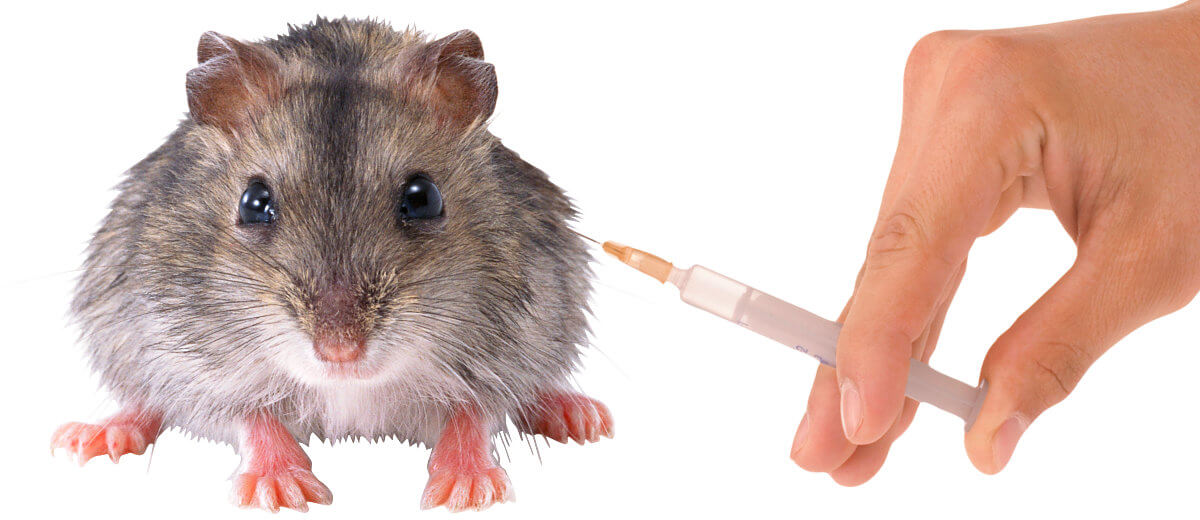 Zákaz testování kosmetiky na zvířatech