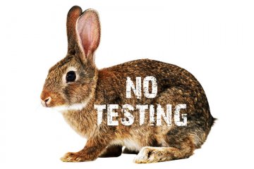 Zákaz testování kosmetiky na zvířatech