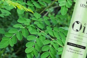 Lendan Oil Essences Ethernal Moringa