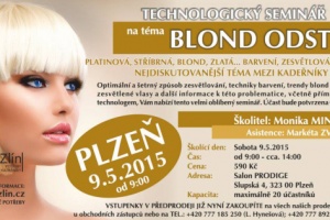Školení na téma Blond Odstíny Plzeň
