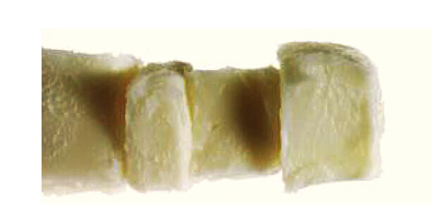 Karité - bambucké máslo